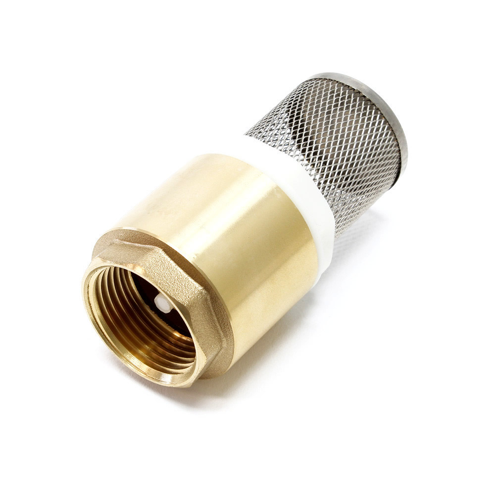 Brass check valve + basket 1” F